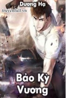 Truyện Bảo Kỳ Vương