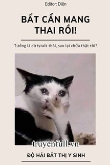 Truyện Bất Cẩn Mang Thai Rồi