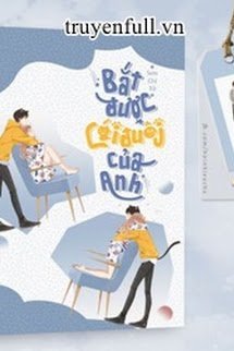 Truyện Bắt Được Cái Đuôi Của Anh