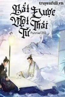 Truyện Bắt Được Một Thái Tử