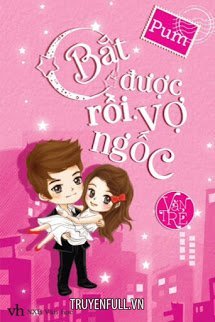 Truyện Bắt Được Rồi, Vợ Ngốc