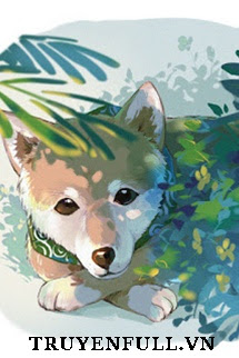 Truyện Bị Đưa Vào Ổ Sói Phải Làm Sao Bây Giờ