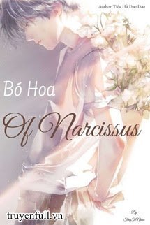 Truyện Bó Hoa Của Narcissus