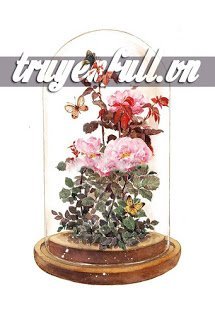 Truyện Bụi Gai Hoa Viên (Vườn Gai)