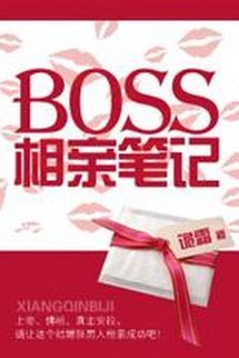 Truyện Bút Ký Coi Mắt Của Boss