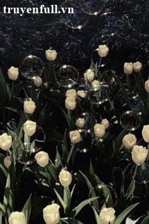 Truyện Cả Hai Đều Sai