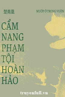Truyện Cẩm Nang Phạm Tội Hoàn Hảo