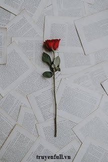 Truyện Cành Hồng Năm Ấy