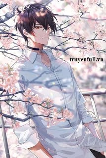 Truyện Chỉ Muốn Làm Nam Phụ Pháo Hôi!