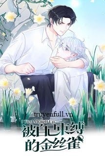 Truyện Chim Hoàng Yến Bị Trói Buộc Bởi Chính Mình