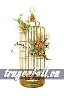 Truyện Chim Tước Cùng Lồng Vàng