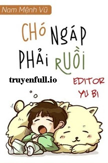 Truyện Chó Ngáp Phải Ruồi - Nam Mệnh Vũ