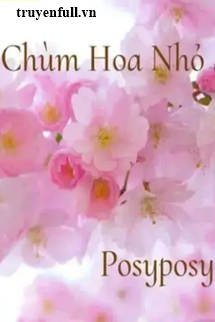 Truyện Chùm Hoa Nhỏ