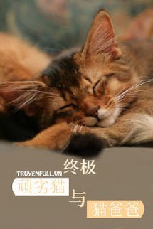 Truyện Chung Cực Ngoan Liệt Miêu Dữ Miêu Ba Ba