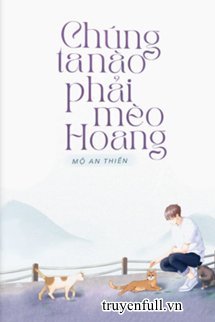 Truyện Chúng Ta Nào Phải Mèo Hoang
