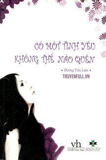 Truyện Có Một Tình Yêu Không Thể Nào Quên