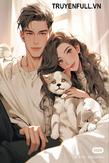 Truyện Cô Vợ Thần Bí Của Hàn Tổng