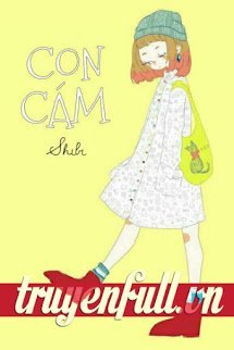 Truyện Con Cám