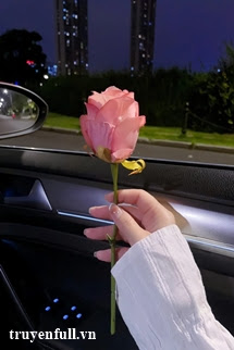 Truyện Cự Tuyệt Thâm Tình