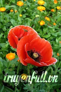 Truyện Đại Lục Thất Lạc