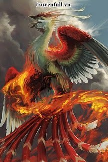 Truyện Đấu La Chi Thiên Cơ Phượng Hoàng