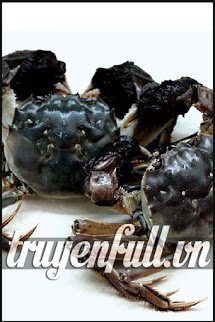 Truyện Đế Vương Hồ Dương Trừng