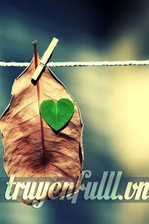 Truyện Đi Qua Miền Kí Ức