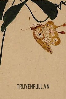 Truyện Độc Hồ Điệp