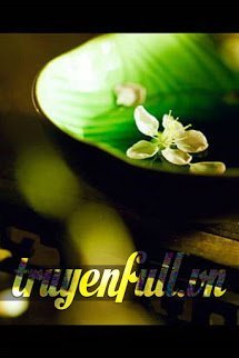 Truyện Dư Vị Trà Tâm
