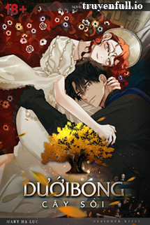 Truyện Dưới Bóng Cây Sồi - Kim Sooji