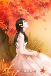 Truyện Dưới Một Bầu Trời