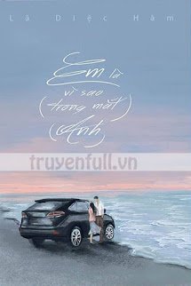Truyện Em Là Vì Sao Trong Mắt Anh