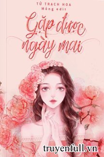 Truyện Gặp Được Ngày Mai