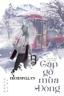 Truyện Gặp Gỡ Mùa Đông