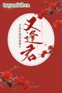 Truyện Gặp Lại Quân Tìm Kiếm Tình Yêu