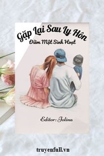 Truyện Gặp Lại Sau Ly Hôn