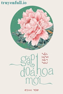 Truyện Gặp Một Đoá Hoa Mới - Nặc Danh Hàm Ngư