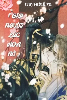 Truyện Gặp Người Lúc Hoa Nở