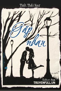 Truyện Gặp Nhau