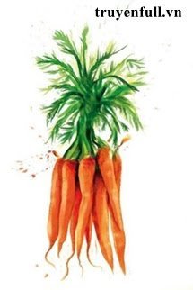 Truyện Gọt Cà Rốt Thành Khối Chưa?