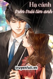 Truyện Hạ Cánh Trên Trái Tim Anh