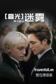 Truyện [Harry Potter X Twilight] Mê Vụ