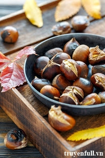 Truyện Hạt Dẻ Ngào Đường