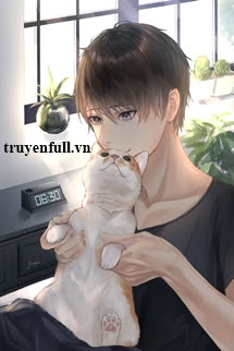 Truyện Hình Như Mèo Của Cậu Bị Ngốc