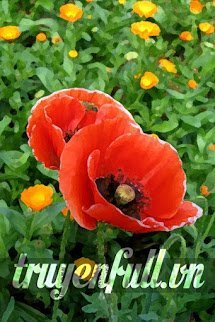 Truyện Hoa Anh Túc