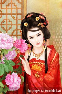 Truyện Hoa Si Hoàng Hậu