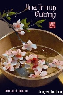 Truyện Hoa Trong Gương