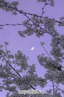 Truyện Không Buông Bỏ Được