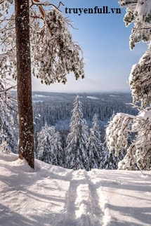 Truyện Kí Ức Ngày Đông