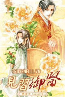 Truyện Kiến Tập Ngự Y